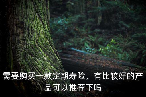 需要購買一款定期壽險，有比較好的產(chǎn)品可以推薦下嗎