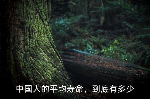 中國人的平均壽命，到底有多少