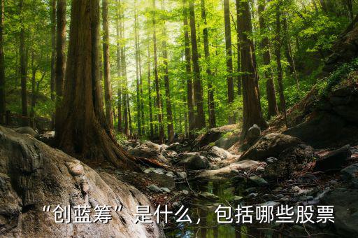 “創(chuàng)藍籌”是什么，包括哪些股票