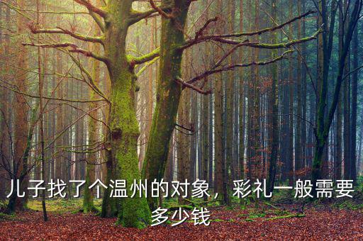 兒子找了個(gè)溫州的對象，彩禮一般需要多少錢