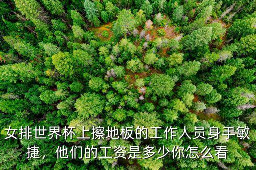 女排世界杯上擦地板的工作人員身手敏捷，他們的工資是多少你怎么看