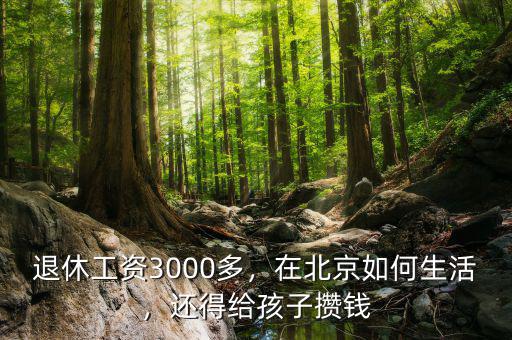 退休工資3000多，在北京如何生活，還得給孩子攢錢