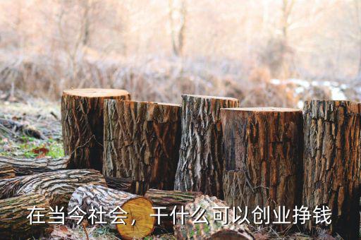 在當今社會，干什么可以創(chuàng)業(yè)掙錢