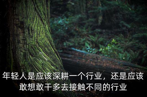 年輕人是應(yīng)該深耕一個行業(yè)，還是應(yīng)該敢想敢干多去接觸不同的行業(yè)