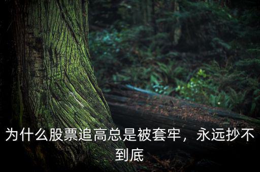 為什么股票追高總是被套牢，永遠(yuǎn)抄不到底