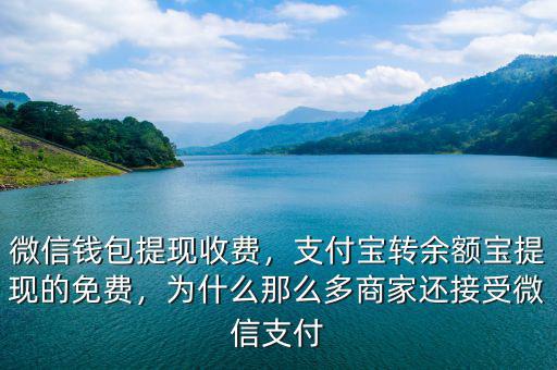 微信錢包提現(xiàn)收費(fèi)，支付寶轉(zhuǎn)余額寶提現(xiàn)的免費(fèi)，為什么那么多商家還接受微信支付
