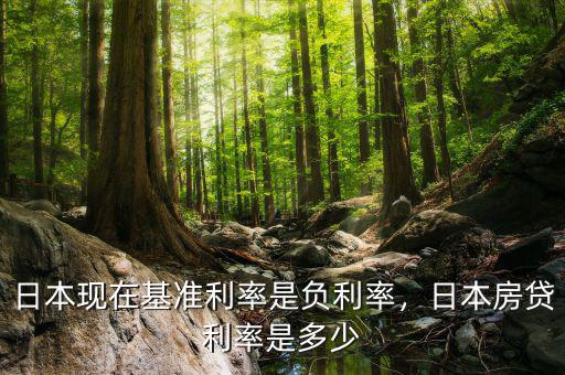 日本現(xiàn)在基準利率是負利率，日本房貸利率是多少