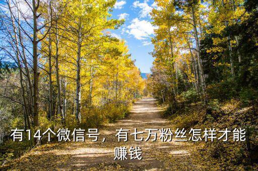 有14個(gè)微信號(hào)，有七萬粉絲怎樣才能賺錢