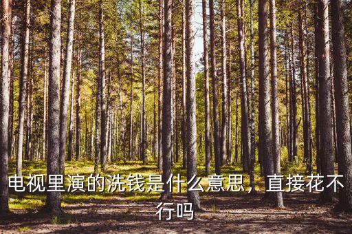 電視里演的洗錢是什么意思，直接花不行嗎