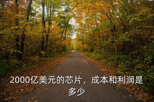 2000億美元的芯片，成本和利潤是多少
