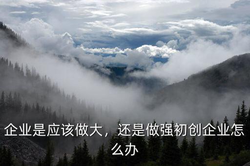 企業(yè)是應(yīng)該做大，還是做強(qiáng)初創(chuàng)企業(yè)怎么辦