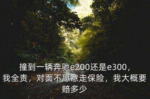 撞到一輛奔馳e200還是e300，我全責，對面不愿意走保險，我大概要賠多少