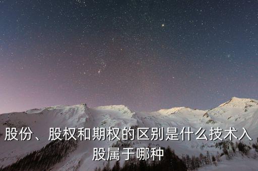 股份、股權(quán)和期權(quán)的區(qū)別是什么技術(shù)入股屬于哪種