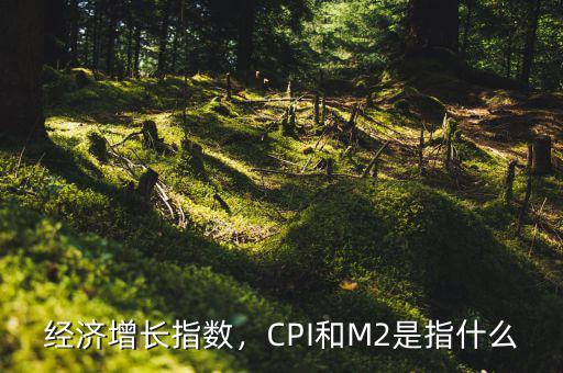 經(jīng)濟(jì)增長(zhǎng)指數(shù)，CPI和M2是指什么
