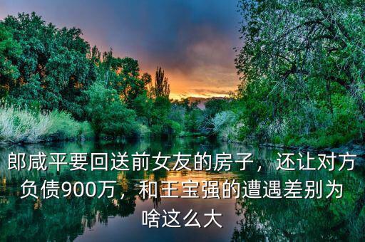 郎咸平要回送前女友的房子，還讓對方負債900萬，和王寶強的遭遇差別為啥這么大