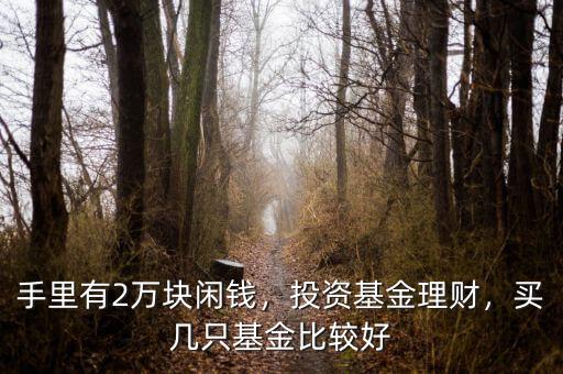 手里有2萬(wàn)塊閑錢，投資基金理財(cái)，買幾只基金比較好
