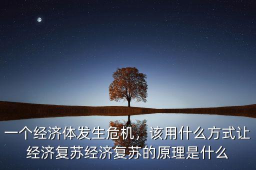 一個(gè)經(jīng)濟(jì)體發(fā)生危機(jī)，該用什么方式讓經(jīng)濟(jì)復(fù)蘇經(jīng)濟(jì)復(fù)蘇的原理是什么