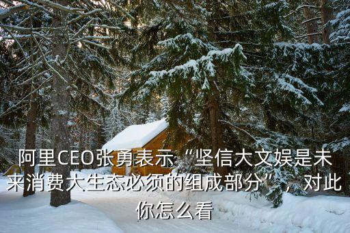 阿里CEO張勇表示“堅(jiān)信大文娛是未來(lái)消費(fèi)大生態(tài)必須的組成部分”，對(duì)此你怎么看