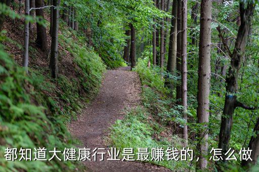 都知道大健康行業(yè)是最賺錢(qián)的，怎么做