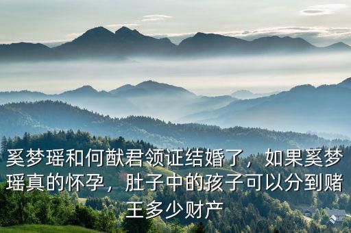 奚夢瑤和何猷君領(lǐng)證結(jié)婚了，如果奚夢瑤真的懷孕，肚子中的孩子可以分到賭王多少財產(chǎn)