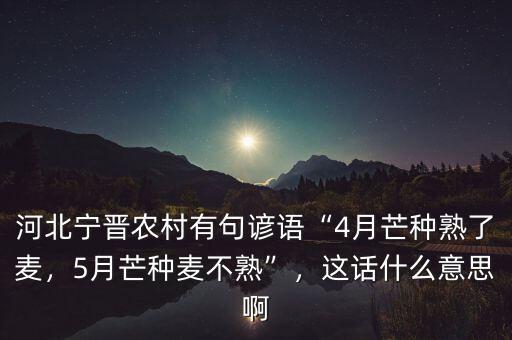 河北寧晉農(nóng)村有句諺語(yǔ)“4月芒種熟了麥，5月芒種麥不熟”，這話什么意思啊