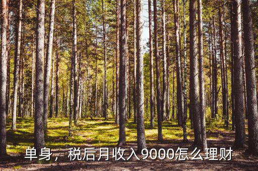 單身，稅后月收入9000怎么理財