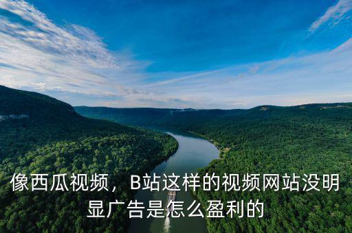 像西瓜視頻，B站這樣的視頻網(wǎng)站沒明顯廣告是怎么盈利的