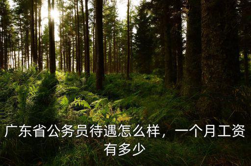 廣東省公務(wù)員待遇怎么樣，一個(gè)月工資有多少