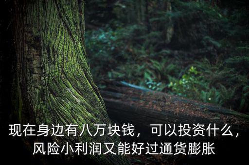 現在身邊有八萬塊錢，可以投資什么，風險小利潤又能好過通貨膨脹