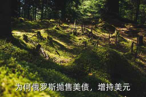 為何俄羅斯拋售美債，增持美元