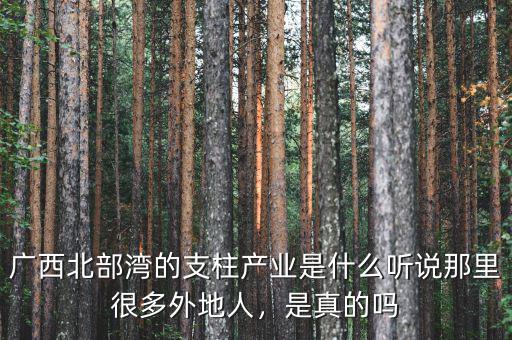 廣西北部灣的支柱產(chǎn)業(yè)是什么聽說那里很多外地人，是真的嗎