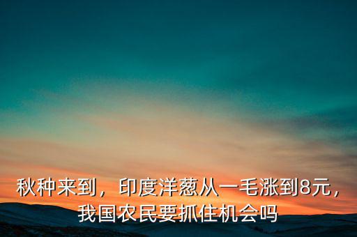 秋種來到，印度洋蔥從一毛漲到8元，我國農民要抓住機會嗎
