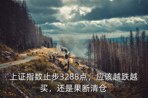 上證指數(shù)止步3288點(diǎn)，應(yīng)該越跌越買，還是果斷清倉(cāng)