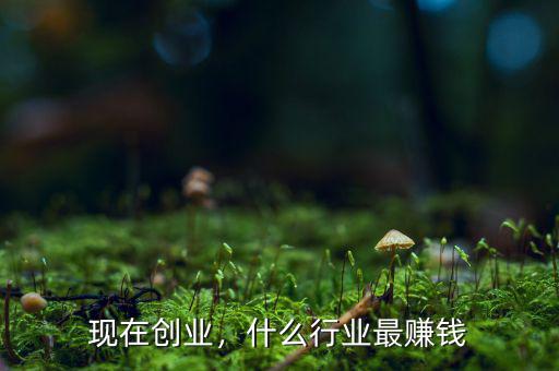 現(xiàn)在創(chuàng)業(yè)，什么行業(yè)最賺錢