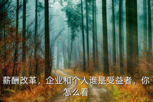 薪酬改革，企業(yè)和個(gè)人誰是受益者，你怎么看