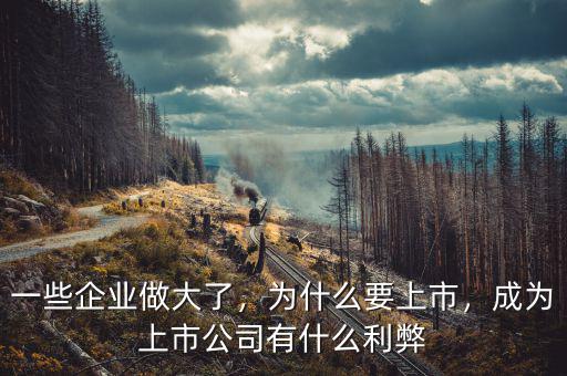 一些企業(yè)做大了，為什么要上市，成為上市公司有什么利弊