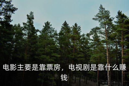 電影主要是靠票房，電視劇是靠什么賺錢