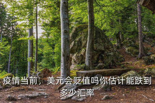 疫情當(dāng)前，美元會(huì)貶值嗎你估計(jì)能跌到多少匯率