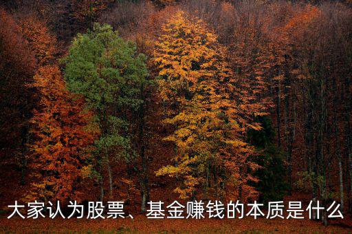 大家認(rèn)為股票、基金賺錢的本質(zhì)是什么