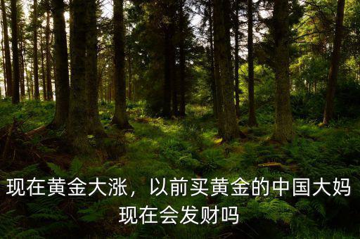 現(xiàn)在黃金大漲，以前買黃金的中國大媽現(xiàn)在會發(fā)財嗎