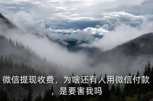 微信提現(xiàn)收費(fèi)，為啥還有人用微信付款，是要害我嗎