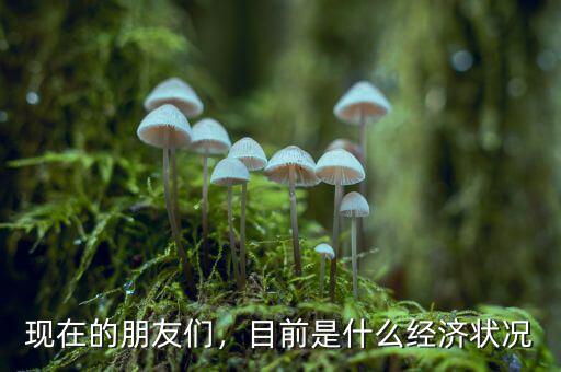 大家怎么看現(xiàn)在的經濟,現(xiàn)在農村經濟發(fā)展怎么樣