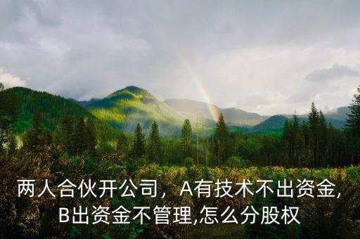 兩人合伙開公司，A有技術(shù)不出資金,B出資金不管理,怎么分股權(quán)