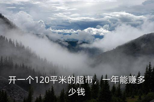 開(kāi)一個(gè)120平米的超市，一年能賺多少錢(qián)