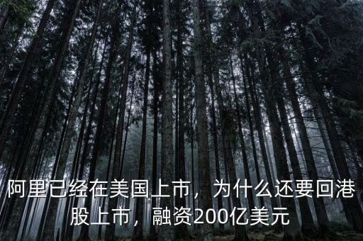 阿里已經(jīng)在美國上市，為什么還要回港股上市，融資200億美元
