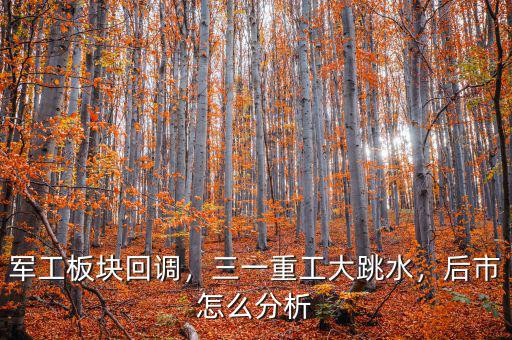 軍工板塊回調(diào)，三一重工大跳水，后市怎么分析
