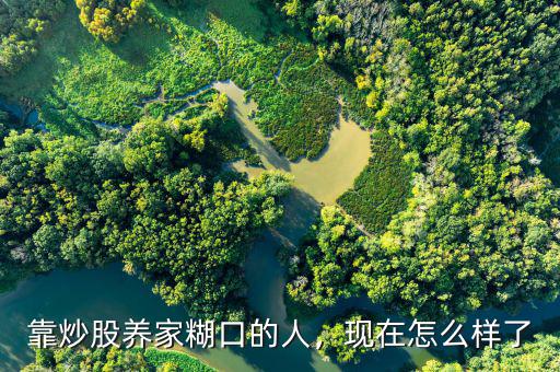 靠炒股養(yǎng)家糊口的人，現(xiàn)在怎么樣了