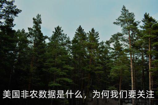 美國非農(nóng)數(shù)據(jù)是什么，為何我們要關(guān)注