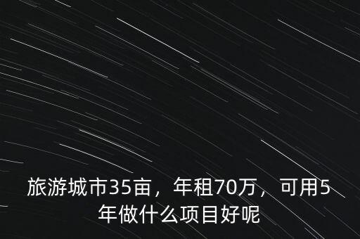 旅游城市35畝，年租70萬，可用5年做什么項(xiàng)目好呢