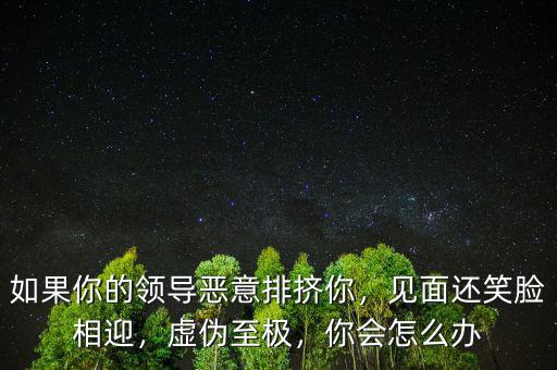 如果你的領(lǐng)導(dǎo)惡意排擠你，見面還笑臉相迎，虛偽至極，你會(huì)怎么辦
